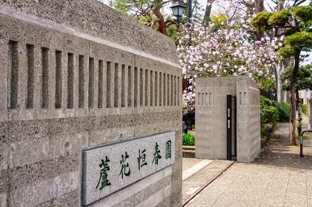 芦花公園